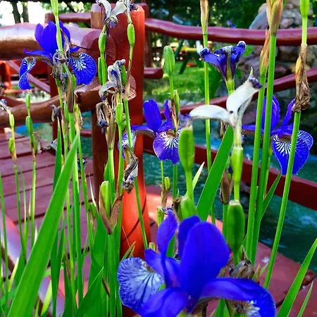 I Restauracja Sara فندق