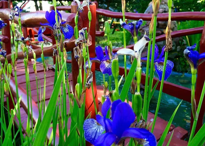 Hotel I Restauracja Sara Hotel