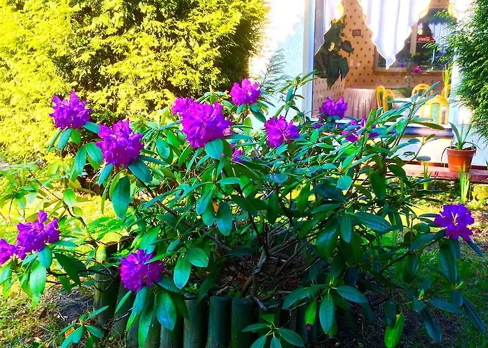 Hotel I Restauracja Sara Bad Altheide